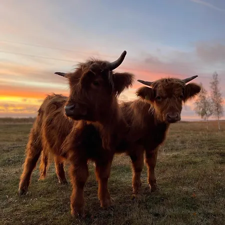 Rum i privatbostad Kihnu Kuelalistemaja
