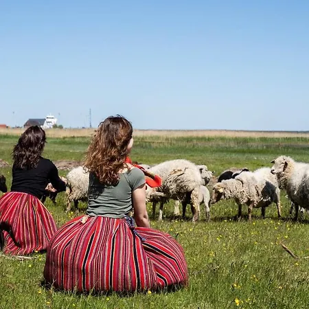 Kihnu Külalistemaja *